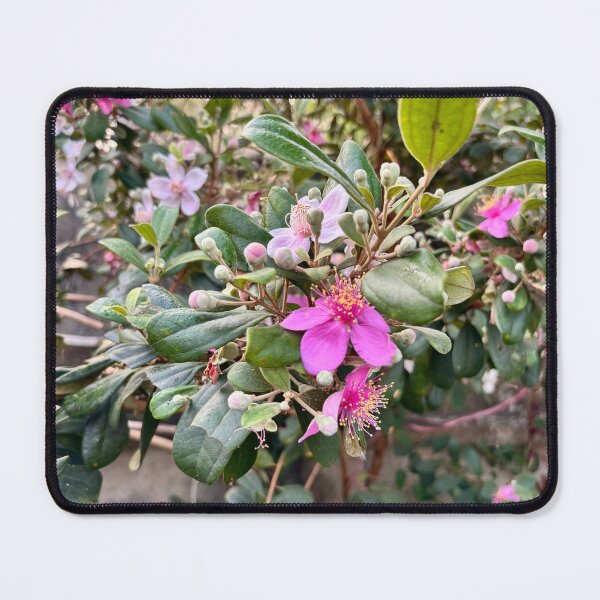 Item preview, Wild Pink Rose Myrtle Flowers designed and sold by davitlong.
