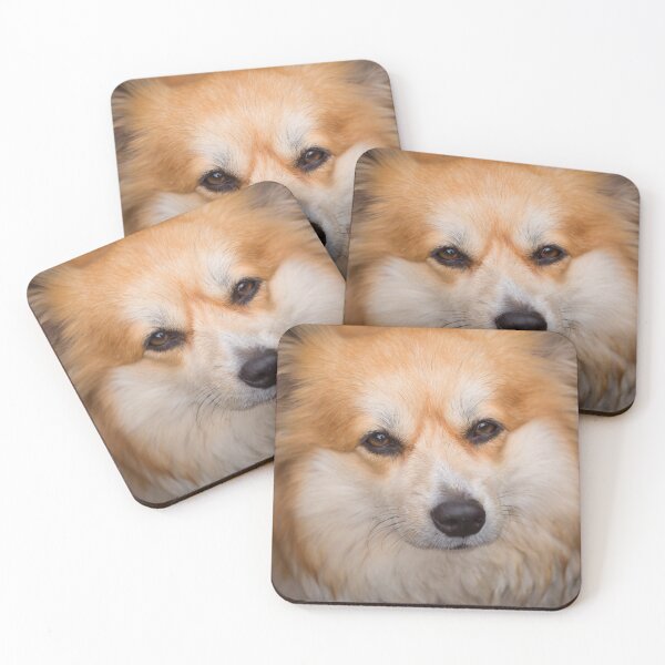 Item preview, Expressive Fluffy Corgi Dog with Soulful Eyes designed and sold by VanGaldo.