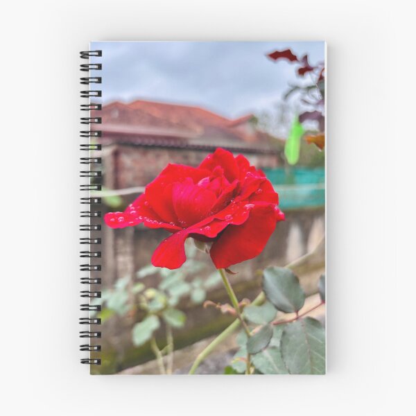Item preview, Romantic Red Rose Flower designed and sold by davitlong.