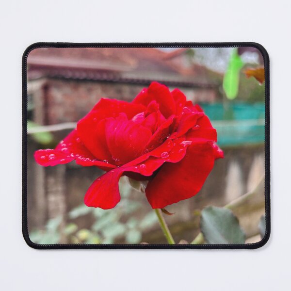 Item preview, Romantic Red Rose Flower designed and sold by davitlong.