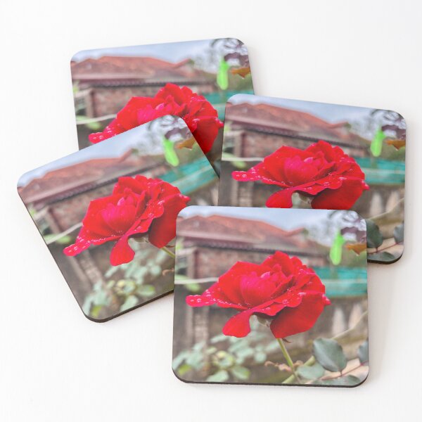 Item preview, Romantic Red Rose Flower designed and sold by davitlong.