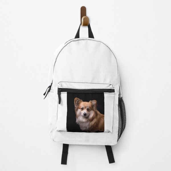 Item preview, Fluffy Corgi Portrait on Black Background designed and sold by VanGaldo.
