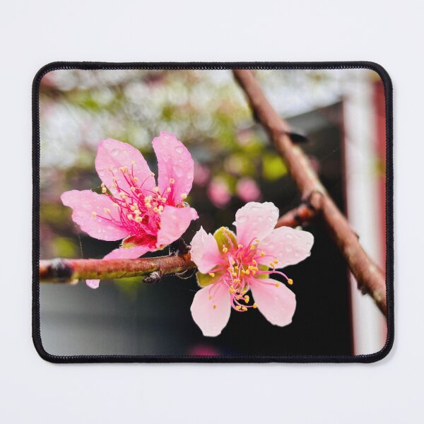 Item preview, Dewy Pink Peach Blossoms designed and sold by davitlong.