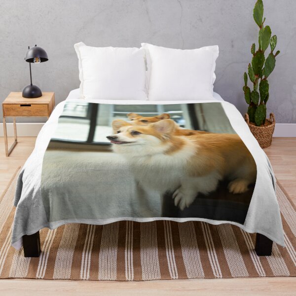Item preview, Two Charming Pembroke Corgis Indoors Close-up designed and sold by VanGaldo.