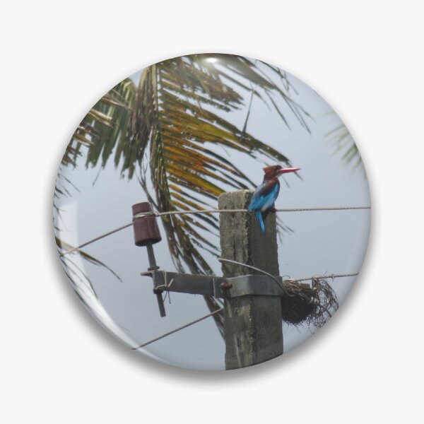 Item preview, Kingfisher and Nest in the Electric Pole Kerala India designed and sold by zedakxis.