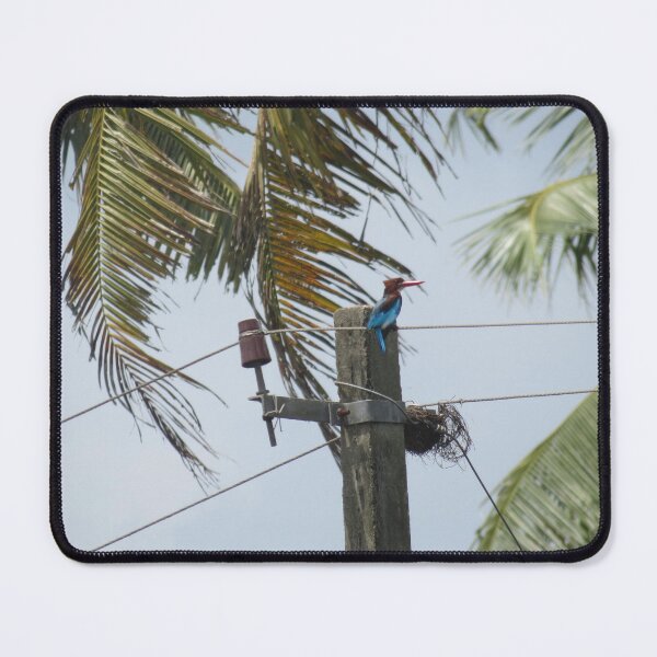 Item preview, Kingfisher and Nest in the Electric Pole Kerala India designed and sold by zedakxis.