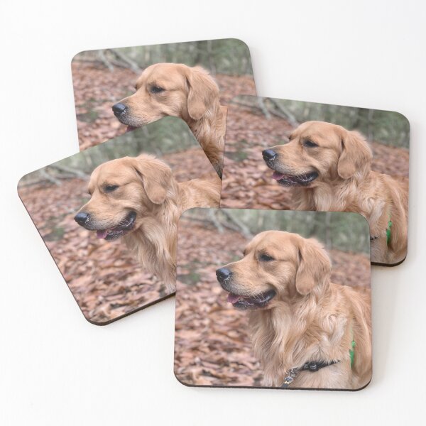 Item preview, Fluffy Golden Retriever on Autumn Walk designed and sold by VanGaldo.