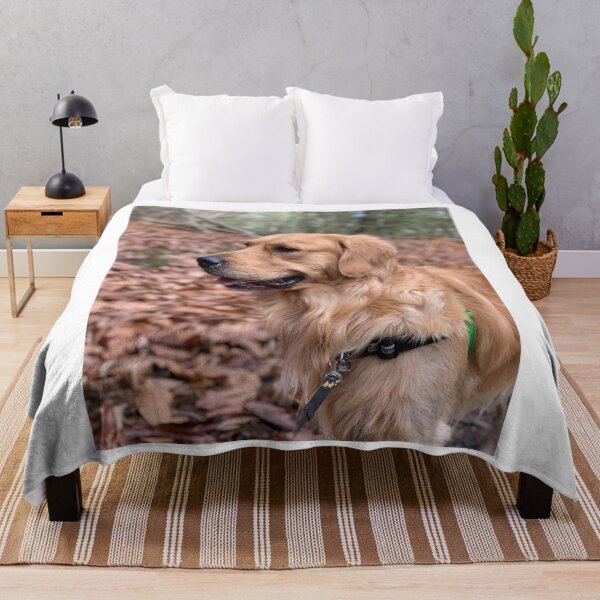 Item preview, Fluffy Golden Retriever on Autumn Walk designed and sold by VanGaldo.