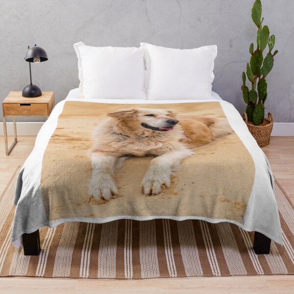 Item preview, Golden Retriever Dog Lying on Beach designed and sold by VanGaldo.