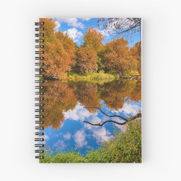 Aperçu de l'œuvre Reflets d'automne sur le lac Sammamish créée et vendue par Kimberly Palmer.