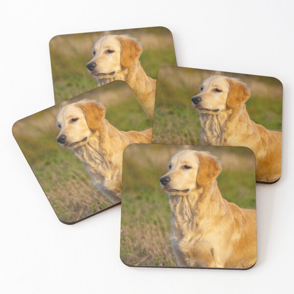 Item preview, Golden Retriever Dog in Sunny Field designed and sold by VanGaldo.
