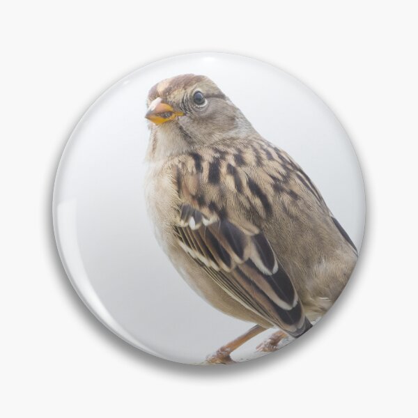 Item preview, White Crowned Sparrow designed and sold by LaurenTucker.