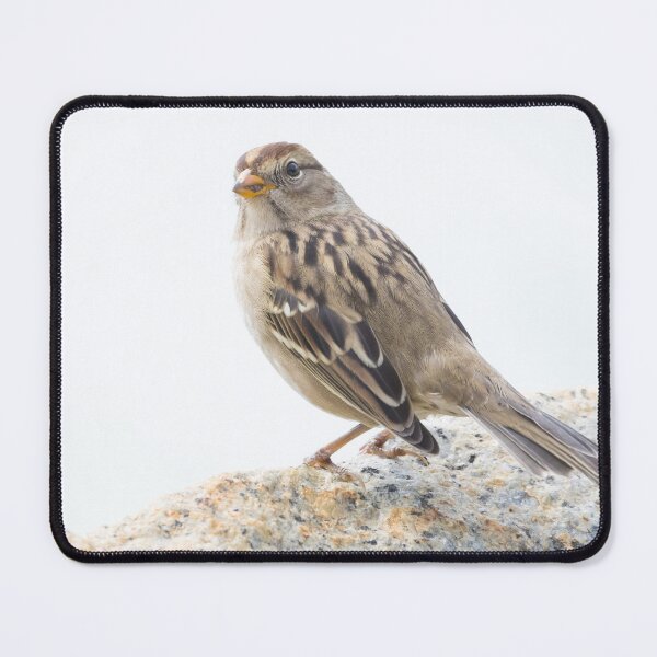 Item preview, White Crowned Sparrow designed and sold by LaurenTucker.