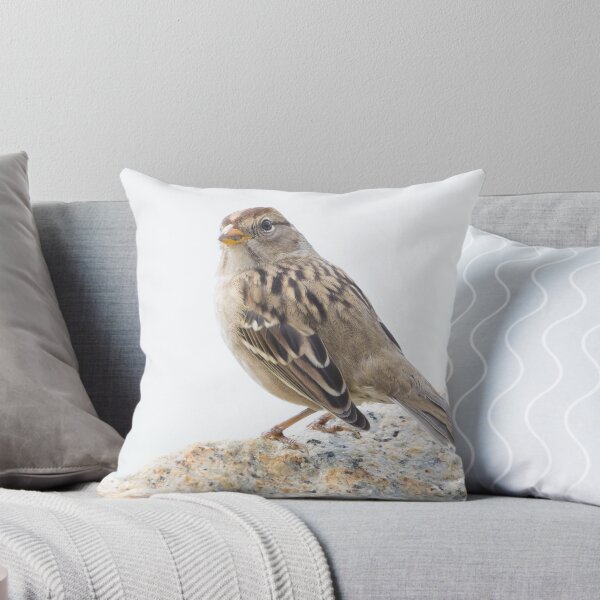 Item preview, White Crowned Sparrow designed and sold by LaurenTucker.