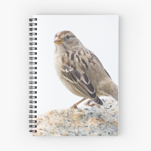 Item preview, White Crowned Sparrow designed and sold by LaurenTucker.
