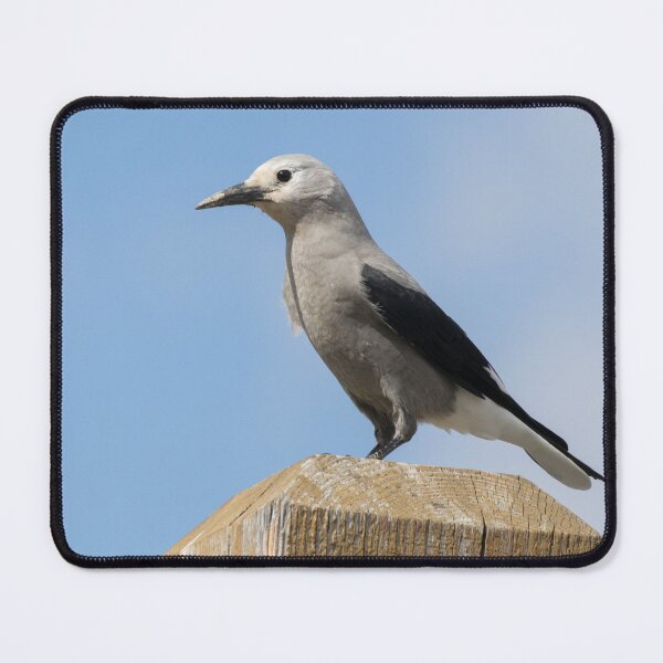 Item preview, Clark's Nutcracker designed and sold by LaurenTucker.