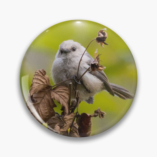 Item preview, Bushtit designed and sold by LaurenTucker.