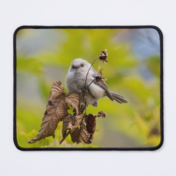 Item preview, Bushtit designed and sold by LaurenTucker.