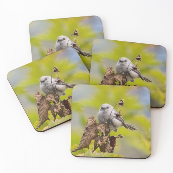 Item preview, Bushtit designed and sold by LaurenTucker.