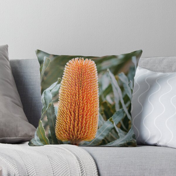 Item preview, Firewood Banksia menziesii Macro - Fine Art Print designed and sold by MinzMarchStudio.