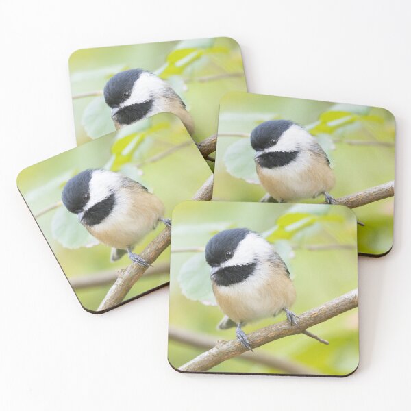 Item preview, Black Capped Chickadee  designed and sold by LaurenTucker.