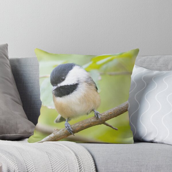 Item preview, Black Capped Chickadee designed and sold by LaurenTucker.
