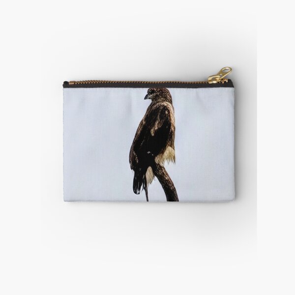 Item preview, Perched Hawk designed and sold by Garden Gets Wilde.