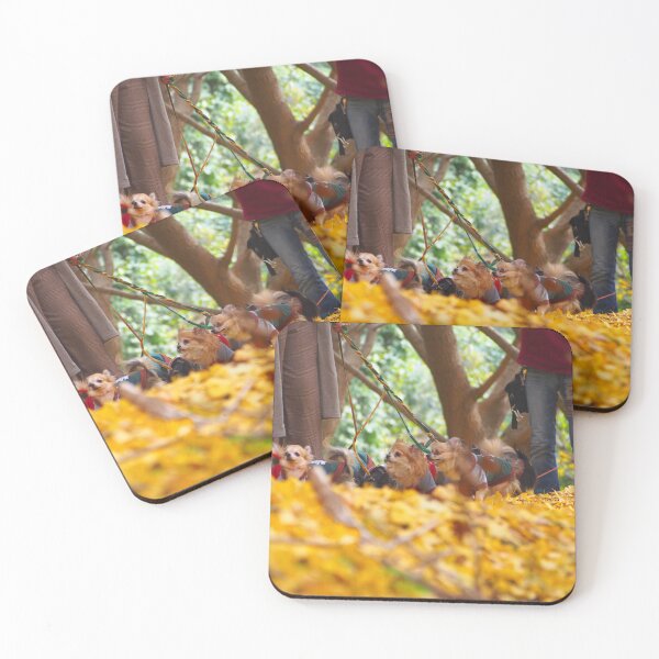 Item preview, Dogs Walking in Autumn Leaves designed and sold by manbou-japan.