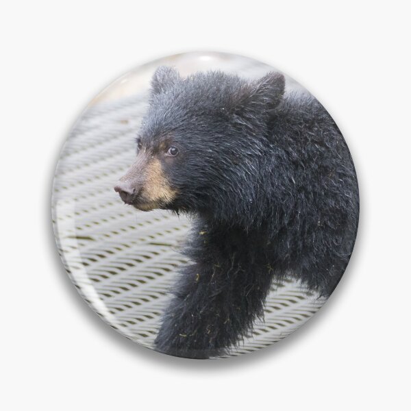 Item preview, American Black Bear designed and sold by LaurenTucker.