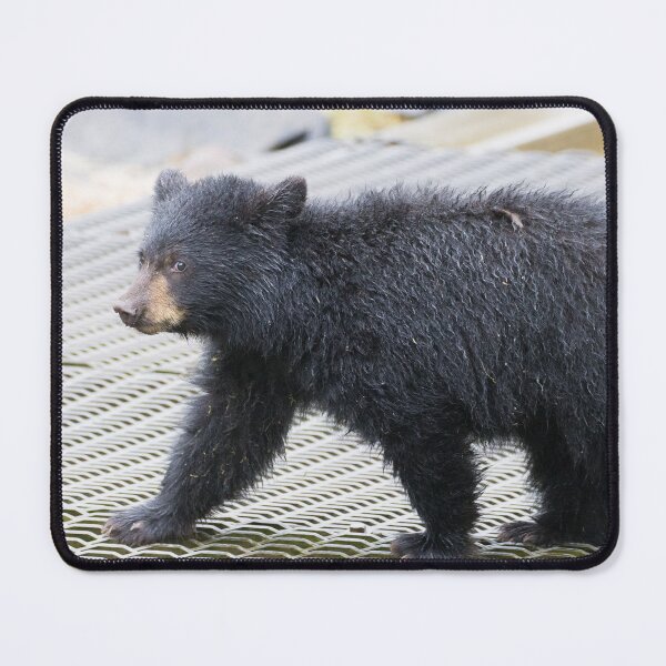 Item preview, American Black Bear designed and sold by LaurenTucker.