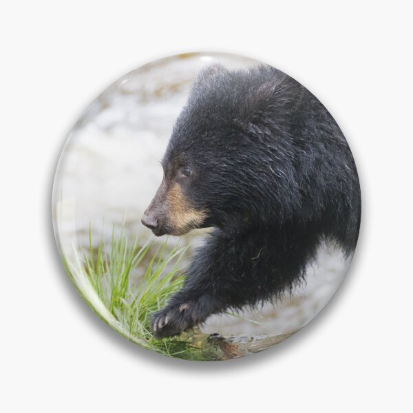 Item preview, American Black Bear designed and sold by LaurenTucker.