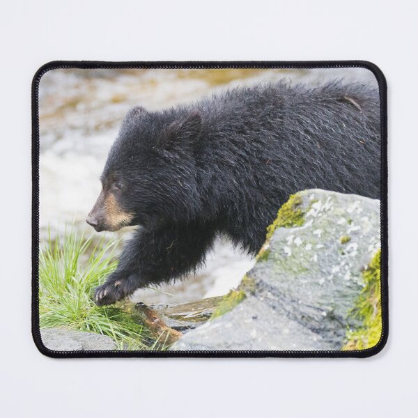 Item preview, American Black Bear designed and sold by LaurenTucker.