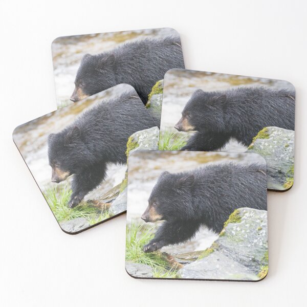 Item preview, American Black Bear designed and sold by LaurenTucker.