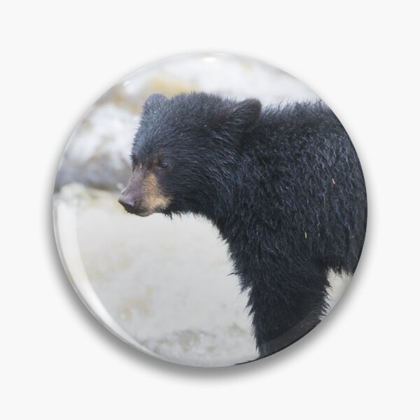 Item preview, American Black Bear designed and sold by LaurenTucker.
