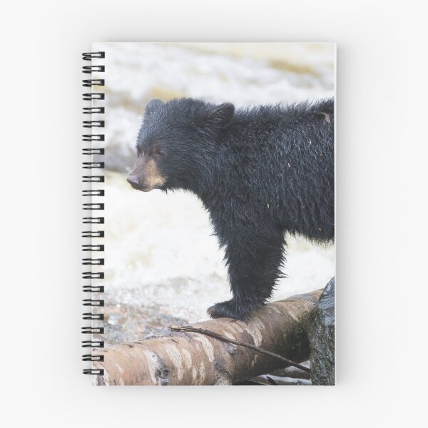 Item preview, American Black Bear designed and sold by LaurenTucker.