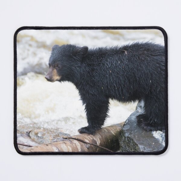 Item preview, American Black Bear designed and sold by LaurenTucker.