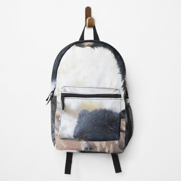 Item preview, American Black Bear designed and sold by LaurenTucker.
