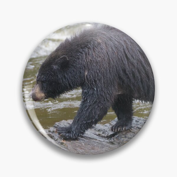 Item preview, American Black Bear designed and sold by LaurenTucker.