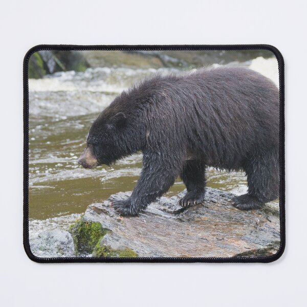 Item preview, American Black Bear designed and sold by LaurenTucker.