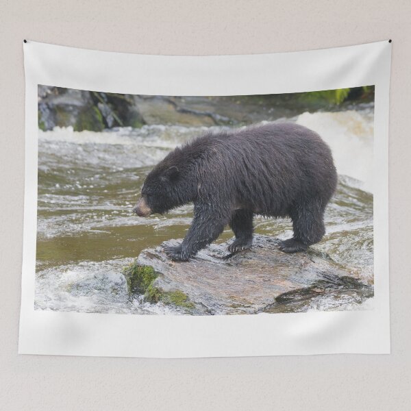Item preview, American Black Bear designed and sold by LaurenTucker.