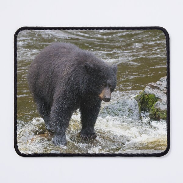 Item preview, American Black Bear designed and sold by LaurenTucker.