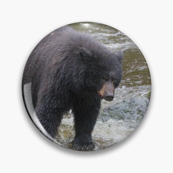 Item preview, American Black Bear designed and sold by LaurenTucker.