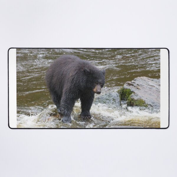 Item preview, American Black Bear designed and sold by LaurenTucker.