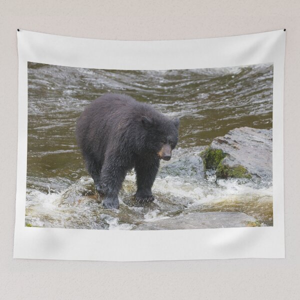 Item preview, American Black Bear designed and sold by LaurenTucker.