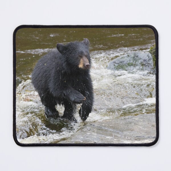 Item preview, American Black Bear designed and sold by LaurenTucker.