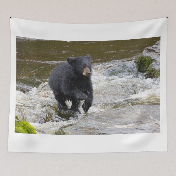Item preview, American Black Bear designed and sold by LaurenTucker.