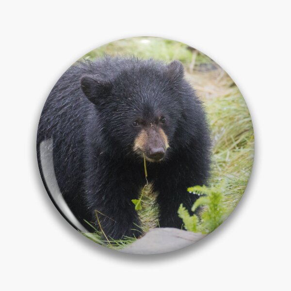 Item preview, American Black Bear designed and sold by LaurenTucker.