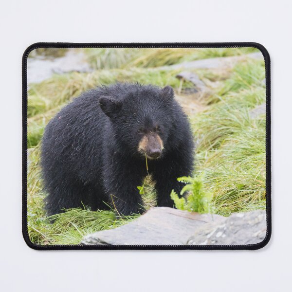 Item preview, American Black Bear designed and sold by LaurenTucker.