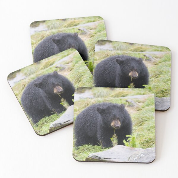 Item preview, American Black Bear designed and sold by LaurenTucker.