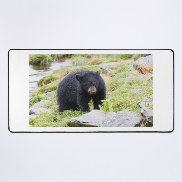 Item preview, American Black Bear designed and sold by LaurenTucker.
